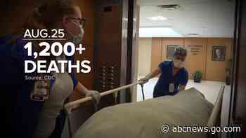 Texas man who worked against COVID measures dies from virus