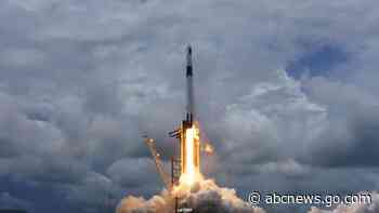 SpaceX launches ants, avocados, robot to space station