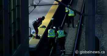 Man injured after being hit by CTrain: Calgary police