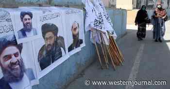 Taliban to Be Recognized as Legitimate Government in New Deal to Solve Airport Conflict: Report