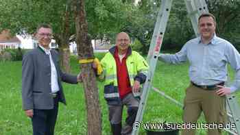 Die besten aller Birnen - Süddeutsche Zeitung