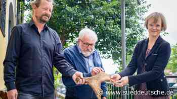 Ein besonderes Geweih - Süddeutsche Zeitung