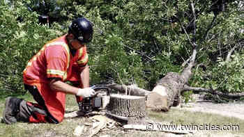 St. Paul residents rally to save ash trees at St. Clair Playground - TwinCities.com-Pioneer Press