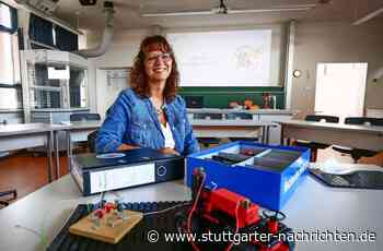 Hochbegabtenförderung in Hemmingen - Wie clevere Kinder noch klüger werden - Stuttgarter Nachrichten