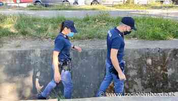 Giovane violentata a Cascina Gobba, un fermo - Radio Lombardia