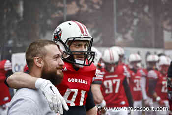 Open Day e inaugurazione del nuovo Jungle Field a San Fermo, domenica di festa per i Gorillas Varese - VareseSport