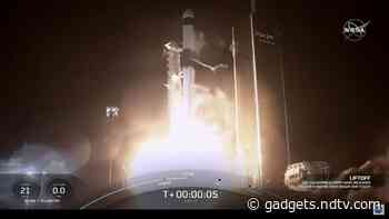 SpaceX Launches Ants, Avocados, Robot to International Space Station
