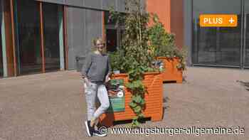 Ausstellung: Verbotenes Gemüse lockt in die Augsburger Stadtbücherei