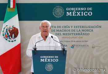 Agricultura fortalece acciones para que los alimentos estén libres de plagas - 88.9 Noticias