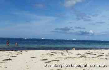 Lluvias del huracán Ida dejan libres de sargazo a playas de Cancún - Quadratín - Quadratín San Luis