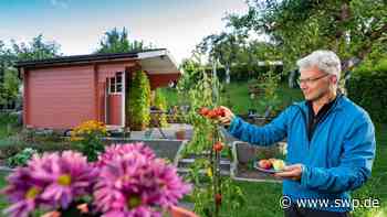 Wetter in Ulm: Warum war dieser Sommer ein Totalausfall? - SWP