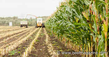 Find breakeven price of corn silage