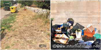 Putignano – Rifiuti: nemmeno le foto trappole scoraggiano gli sporcaccioni - Putignano Informatissimo