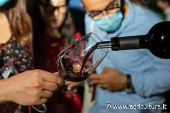 Tra le Torri del Primitivo di Manduria. Venerdì 27 agosto evento per winelover fra vino e paesaggio - Agricultura.it