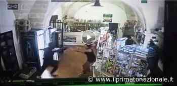 Manduria, rapinatori messi in fuga da tre donne armate di scopa (Video) - Il Primato Nazionale