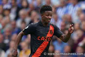 Rafa Benitez encourages Demarai Gray to remain mentally focused - Barrhead News