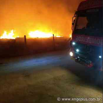 Incêndio em vegetação deixa moradores assustados em Imbituba - Engeplus