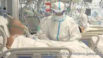 Modena, il dottor Dallari: "Le cure domiciliari? Uno specchio per le allodole" - La Gazzetta di Modena