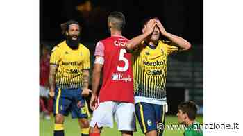 Il Modena non si accende: pari all’esordio - LA NAZIONE