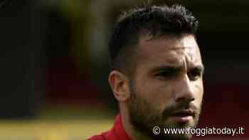 Curcio resta a Foggia, nessun passaggio al Modena: "Notizia totalmente infondata" - FoggiaToday