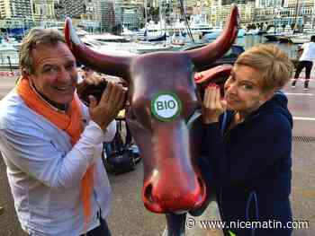 Connue de tous, Kate Powers, la patronne du célèbre Stars'N'Bars à Monaco, s'est éteinte