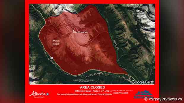 Grizzly bear sow's bluff charge prompts closure of area in Kananaskis Country