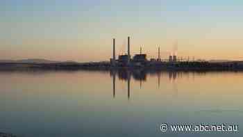 Closure of coal plants won't lead to blackouts, says market operator, as batteries and gas shore-up supply