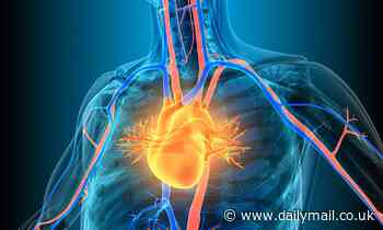 The miracle 'polypill': Daily three-in-one medication could halve the risk of a stroke