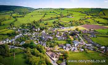 Living in a greener neighbourhood reduces the risk of cardiovascular disease, study says
