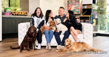 'The D'Amelio Show,' Behind the Scenes