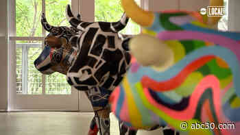 Cow Parade returning to New York City after more than 20 years