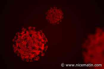 Mutation, contagiosité, résistance au vaccin... Ce que l'on sait du nouveau variant C12