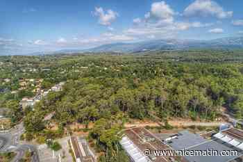 Des espaces boisés ont-ils été déclassés à Valbonne?