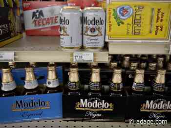 Modelo goes into creative agency review