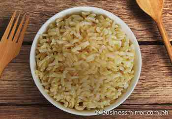 Filipinos remain partial to high-GI polished rice—PhilRice study | Jasper Y. Arcalas - Business Mirror