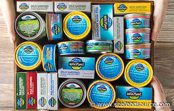 Bolton Group strengthens sustainable tuna supply after Wild Planet purchase - SeafoodSource