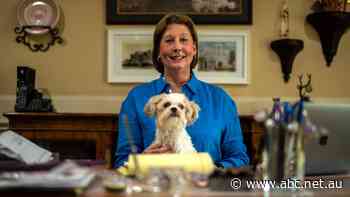 Fox News is now facing billions in lawsuits for peddling Trump's lies. Here's why