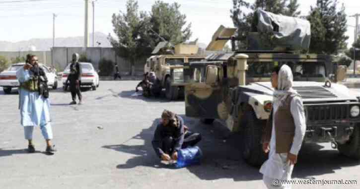 It's 7 Months Into Biden's First Term, And Nearly 8% of Humvees Ever Made Are Lost in Taliban's Afghanistan