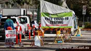 COVID-19 testing is lining the pockets of pathology companies. Now other firms want in