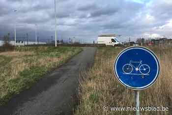 Boom legt missing link van fietspad richting station