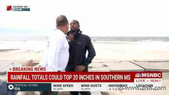 'Cover this accurately!': Watch MSNBC correspondent get interrupted live