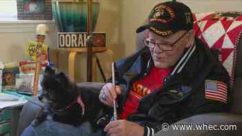 Local Marine veteran has second Honor Flight grounded