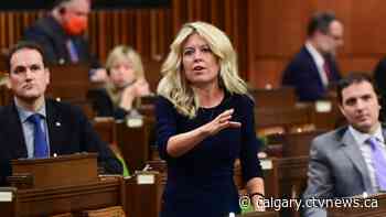 Calgary Conservative candidate says she too is being targeted by aggressive election protestors - CTV News Calgary