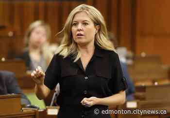 Aggression and threats on campaign trail a frequent occurrence: Calgary MP - CityNews Edmonton