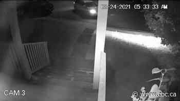 Calgary police looking for vehicle in homicide investigation - CBC.ca