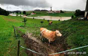 Dauerregen fordert die Feuerwehren im Landkreis Traunstein - Passauer Neue Presse