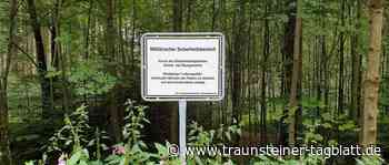 Dorfentwicklungsverein leistet keine Gegenwehr gegen Erweiterung vom Standortübungsplatz - Traunsteiner Tagblatt