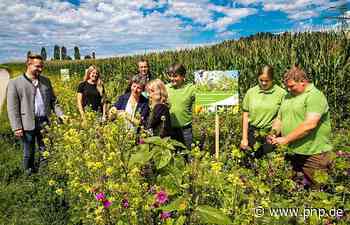 Große Unterstützung für Blühpatenschaften - Passauer Neue Presse