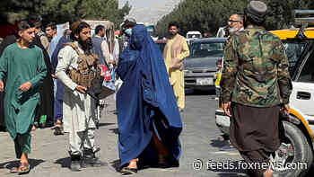 Afghan midwife with dreams of becoming doctor loses job under Taliban rule