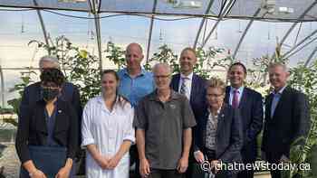 Alberta announces new 'micro-credential opportunities' in Lethbridge post-secondary schools - CHAT News Today